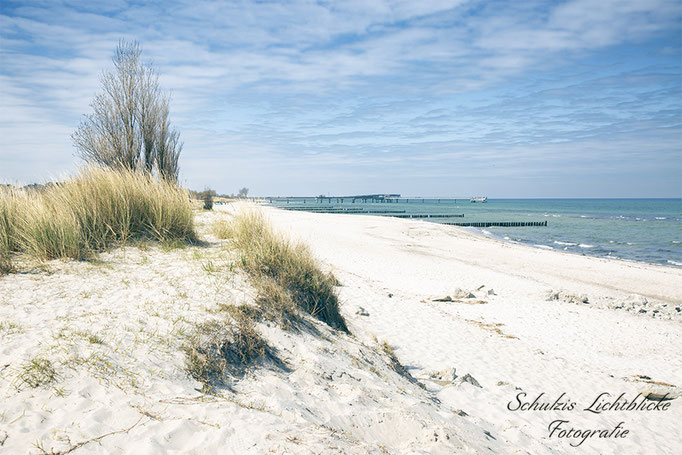 Düne