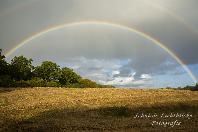 Regenbogen