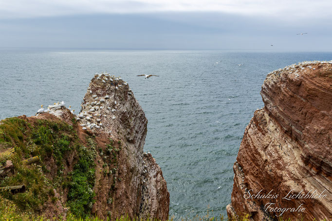 An der Klippe