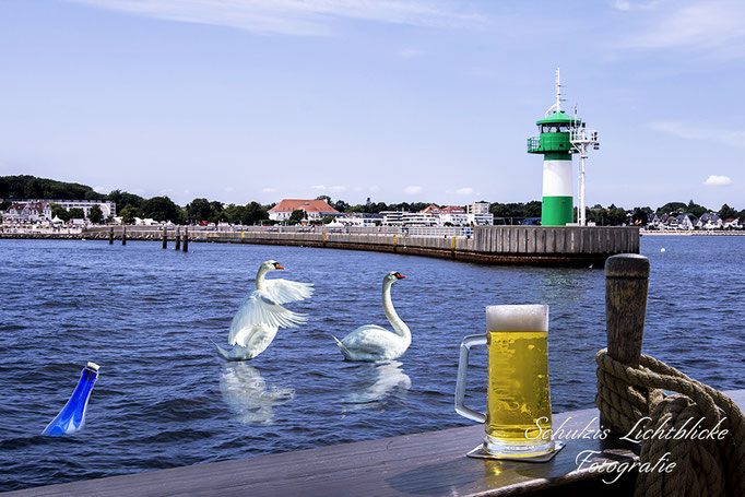 Blaufahrt