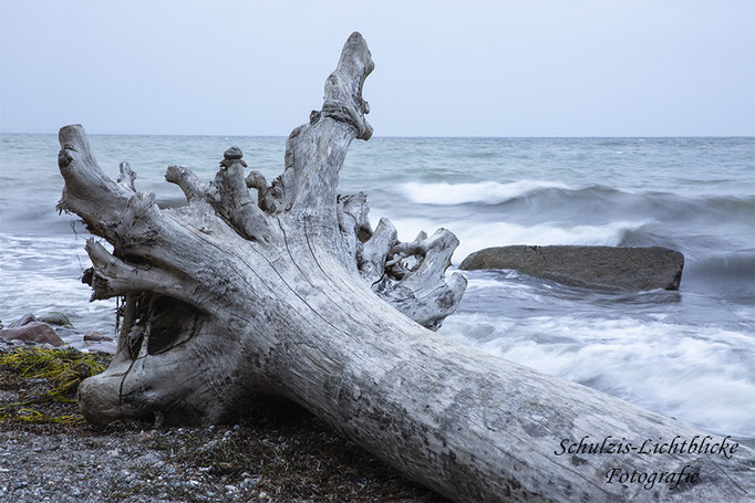 Das Opfer am Meer