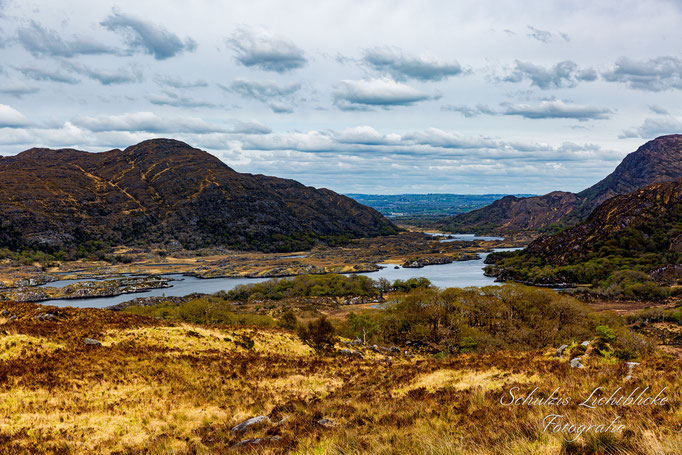 Ladies' View