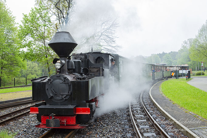 Waldeisenbahn-Muskau