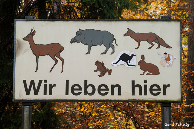 Wesloer-Weg 0001