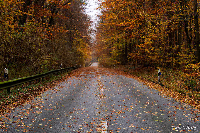Wesloer-Weg 0005