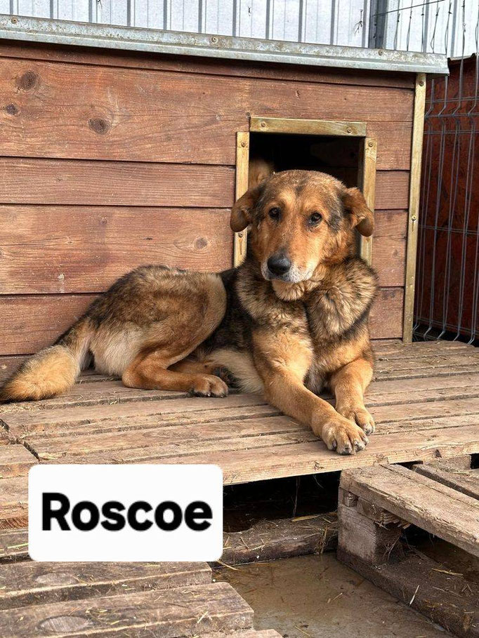 Roscoe