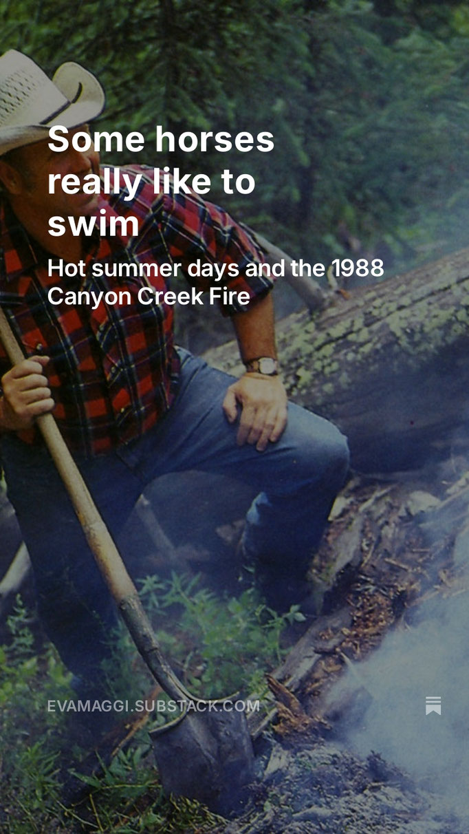 https://evamaggi.substack.com/p/some-horses-really-like-to-swim
