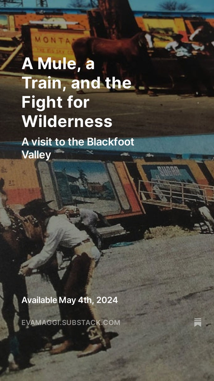 https://evamaggi.substack.com/p/a-mule-a-train-and-the-fight-for