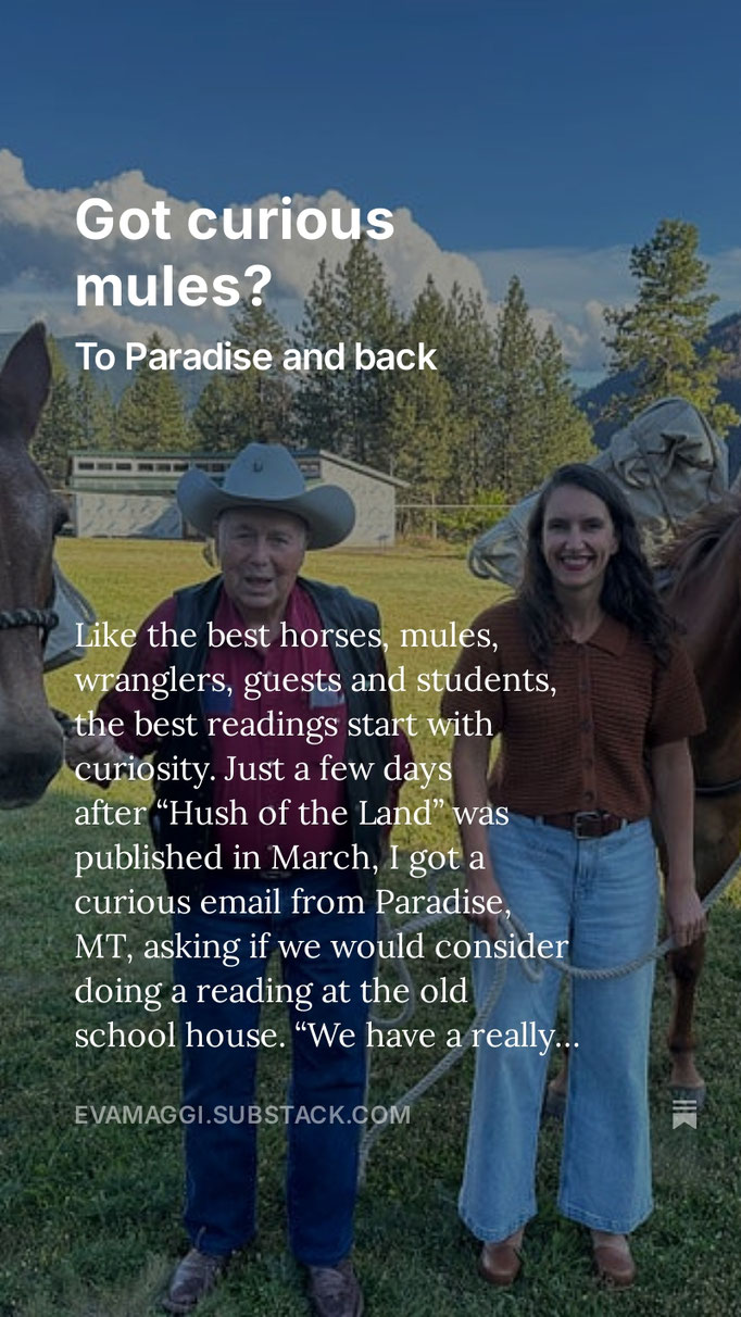 https://evamaggi.substack.com/p/got-curios-mules