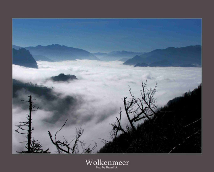 Blick von Traunstein