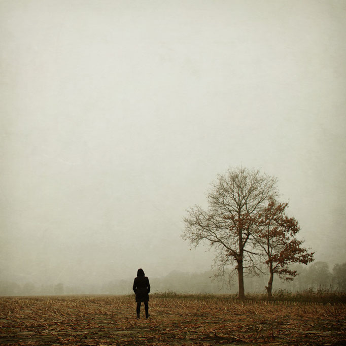 Manuela Deigert Projekte Novemberdays Melancholisches Stimmungsbild mit einem Baum und einer einzelnen Person auf einem nebligen kahlen Stoppelacker