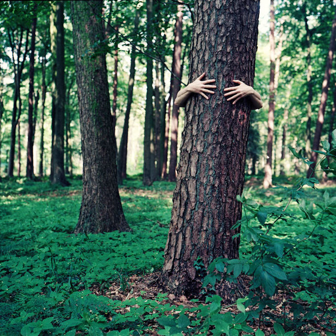 Manuela Deigert Mittelformat Zwei Hände in einer innigen Umarmung eines Baumes im Wald