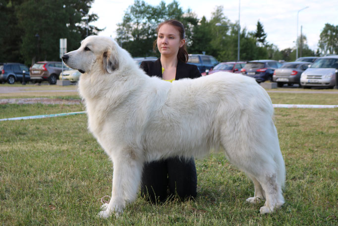 Echo de'Chien Bianca