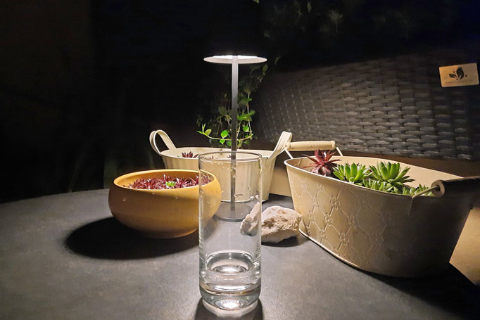 Minimalistische Lichtspiele. Ein kleine Lampe reicht aus, um ein paar Schalen mit Dachwurz attraktiv in Szene zu setzen.Foto: Kai-Uwe Ruf 