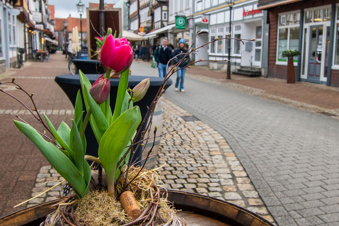 Eine Tulpe steht in einem Tischschmuck vor einer Gaststätte in einer Fachwerkstadt.ei