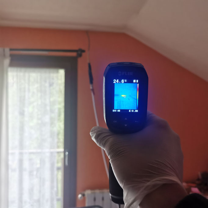 Utilisation caméra thermique FLIR pour la détection de nid de guêpes et de frelons 