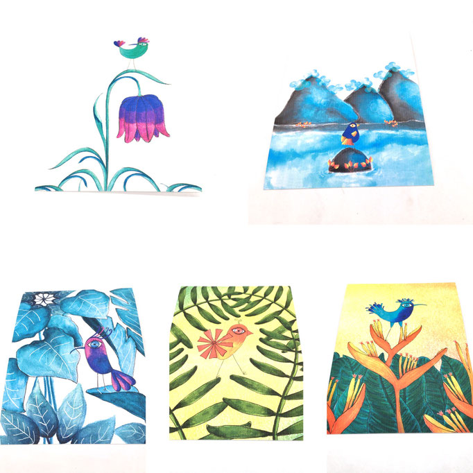 Meine Illustrierte Vogelwelt