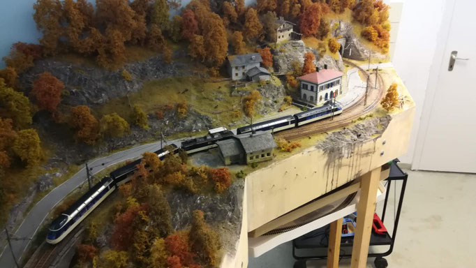 Übersicht von Santa Maggiore mit LagoMaggioreExpress-Zug. 