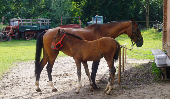 Cinderella und Samira