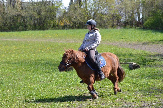 Felix bei einer Reitstunde