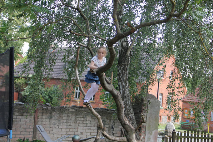 Unser Kletterbaum
