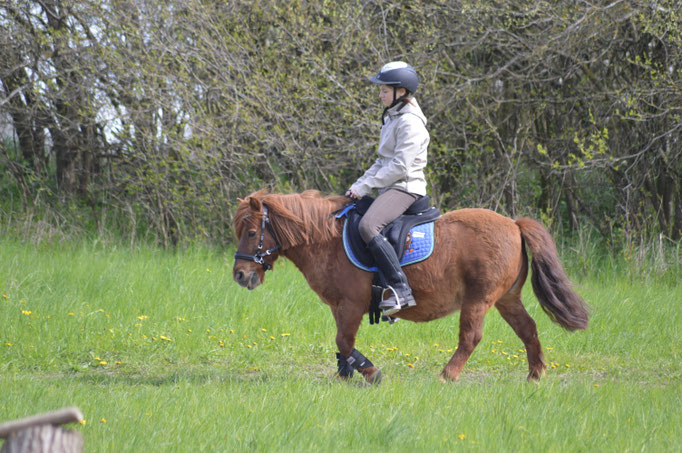 Felix bei einer Reitstunde