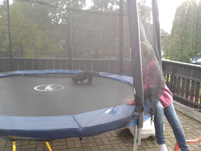 Trampolin erkunden. "Auch schön hier"