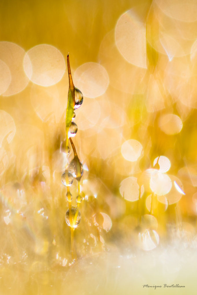 Cascade de verre