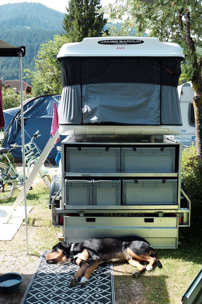 Faltcaravan, Campinganhänger, Zeltanhänger, Autodachzelt, Dachzelt, Campingtrailer, FreeBird-Trailer, MGO, Montegrosso Outdoor