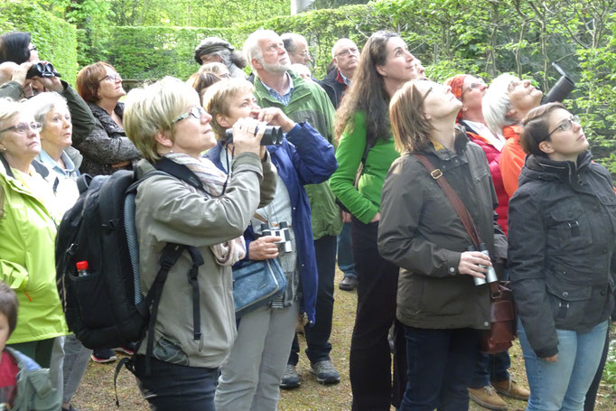 Bilder der Vogelstimmenexkursion am 22-Apr-2016