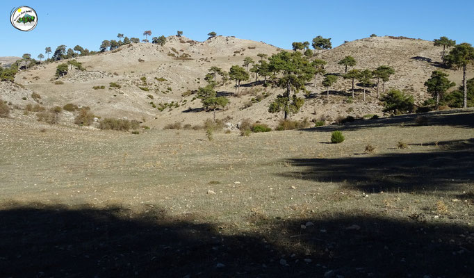 Cerro Quemado