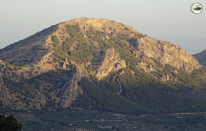 Cerro de Vitar
