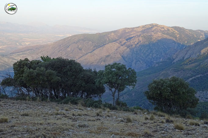 Cerro de las Carboneras