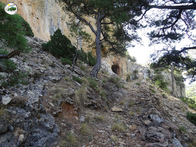 Cueva de los Trancos