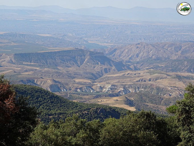 Vistas a la zona desertica entre Ceal, Hinojares y Alucún de Ortega