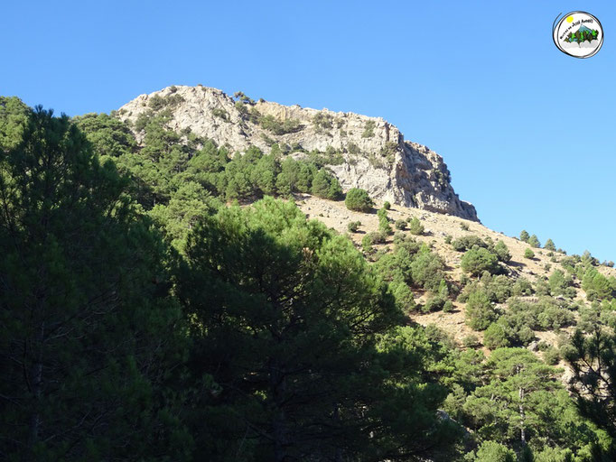 Cerro de Don Pedro
