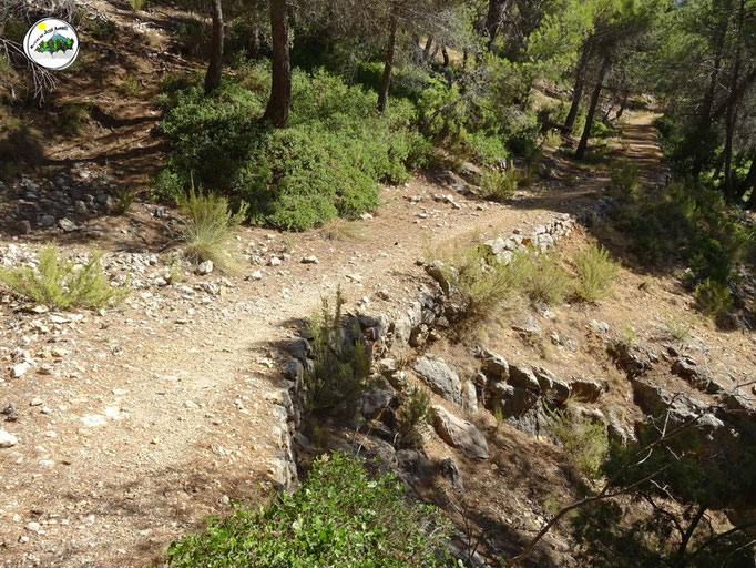 Viejo camino de herradura que va por la parte baja del Carasol de la Chaparra, del cerro de Don Pedro. GR-247-13. Belerda - Hornico.
