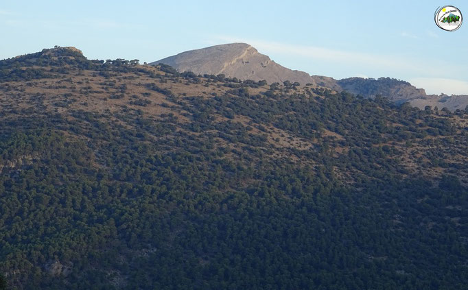 Carasol de la Chaparra. Cerro de Don Pedro