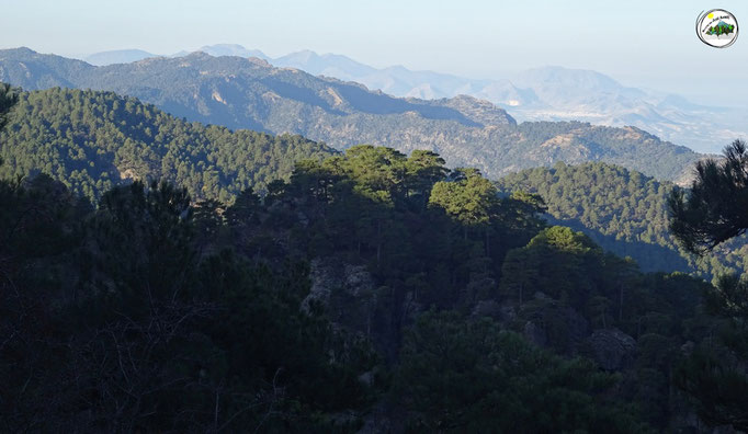 Sierra de Cazorla, de fondo sierra Mágina