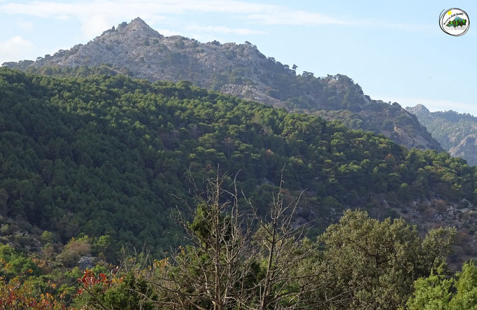 Cerro de Navahondona