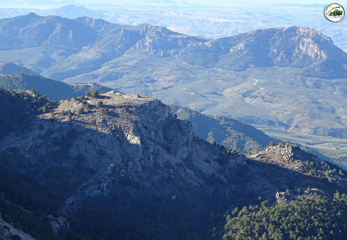 Cerro de Vitar, los Rosales, cerro del Madroñal....