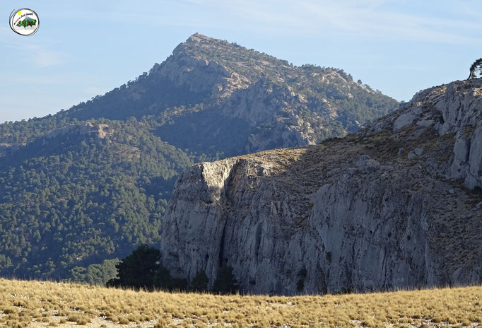 Pico Cabañas