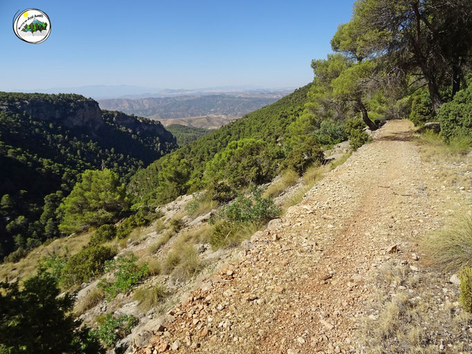 Viejo camino de herradura que va por la parte baja del Carasol de la Chaparra, del cerro de Don Pedro. GR-247-13. Belerda - Hornico.