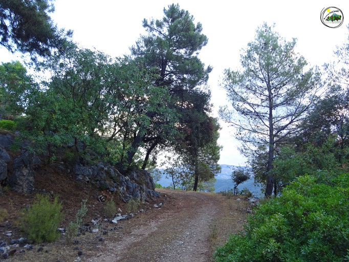 Camino que nos lleva a la Casa Forestal de la Lanchilla