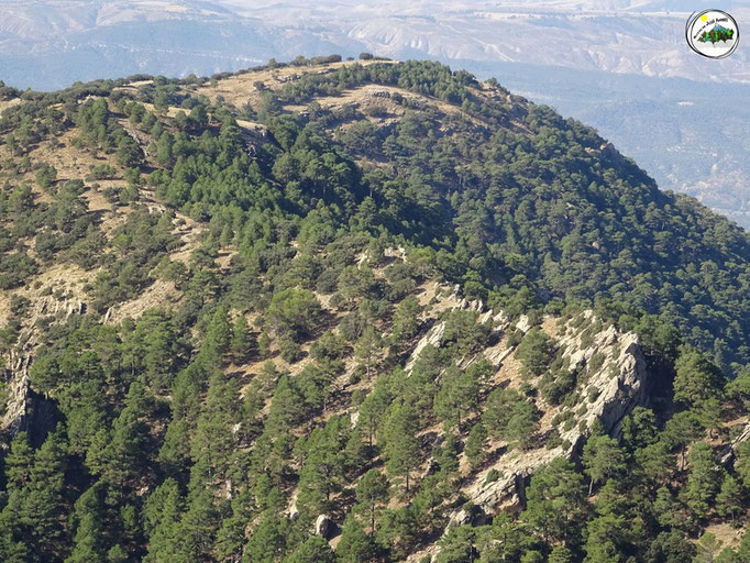 Cerro de Cuenca