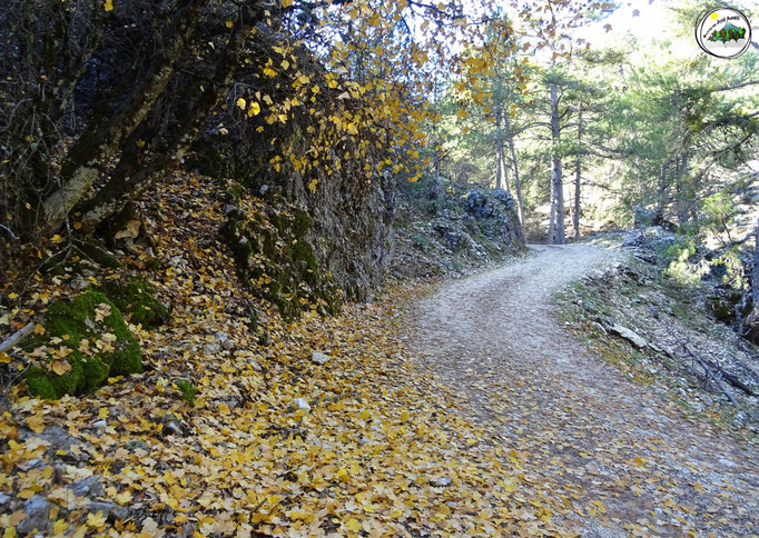 Camino de Valdeazores collado de Fuente Bermeja
