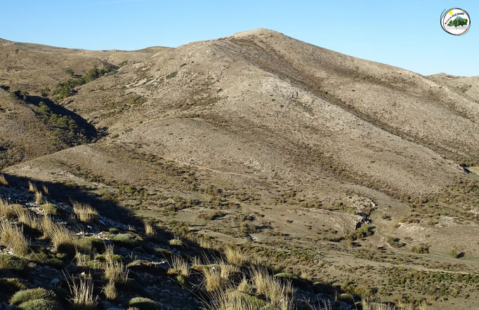 Cerro Vaquero
