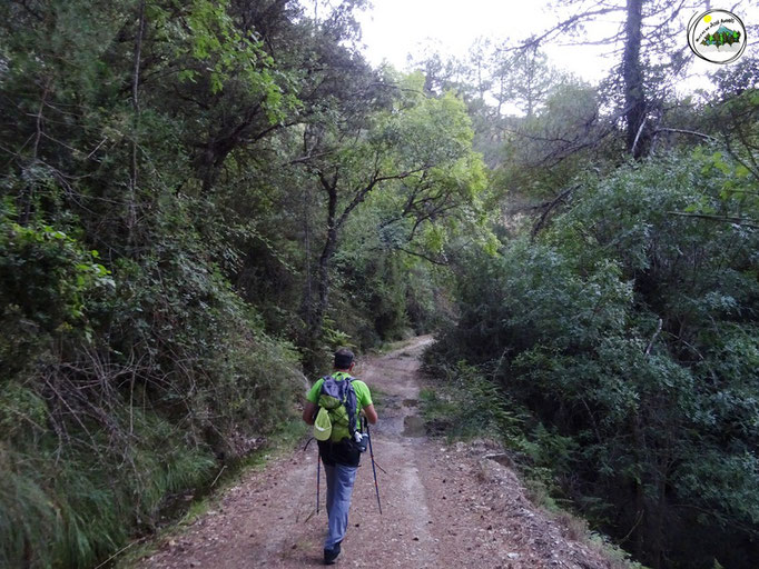 Camino del barranco del Guadalentín