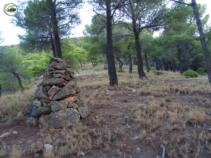 Hoya del Pinar. Empezamos la subida al cerro de Cuenca