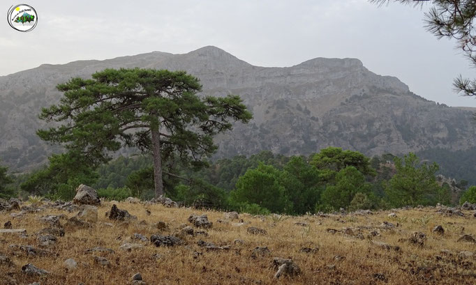 Sierra de la Cabrilla, con los poyos de la Carilarga